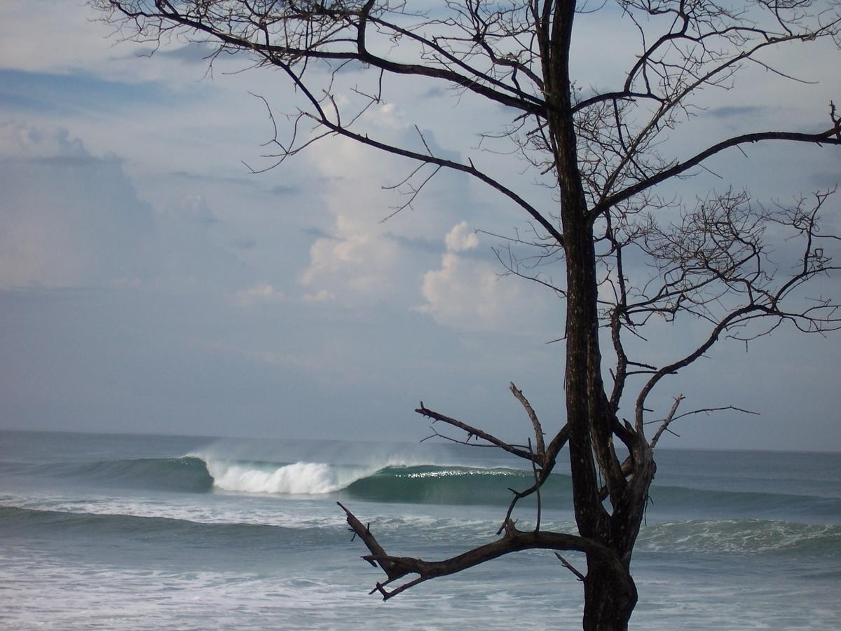 Santa Teresa Surf Vista Hotel Playa Santa Teresa (Puntarenas)